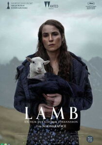 Lamb streaming