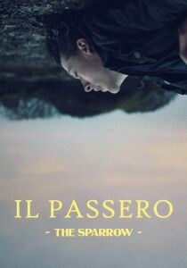 Il passero – The Sparrow streaming