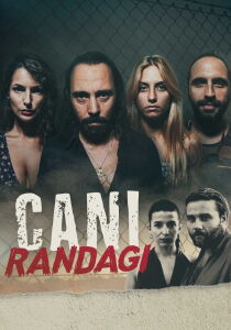 Cani randagi streaming