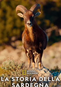 La storia della Sardegna [CORTO] streaming