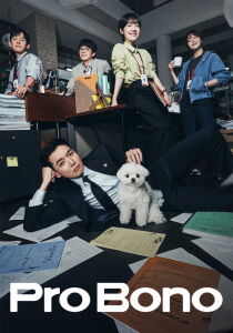 Pro Bono [Sub-ITA] streaming