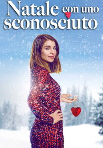 Natale con uno sconosciuto streaming